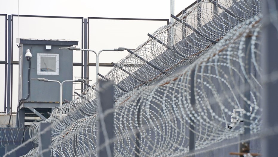    Автор фото: Vladimir Tretyakov/Shutterstock/FOTODOM