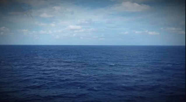 Фото: свободный доступ.