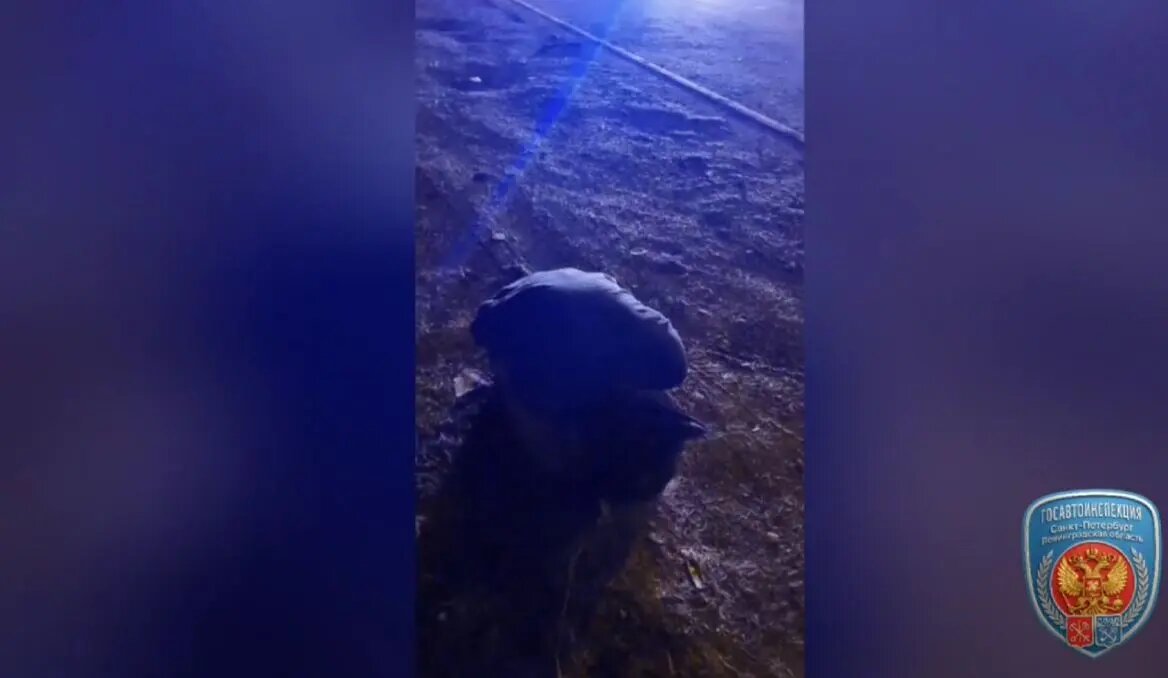    Фото: кадр видео пресс-службы ГАИ по Петербургу и Ленобласти