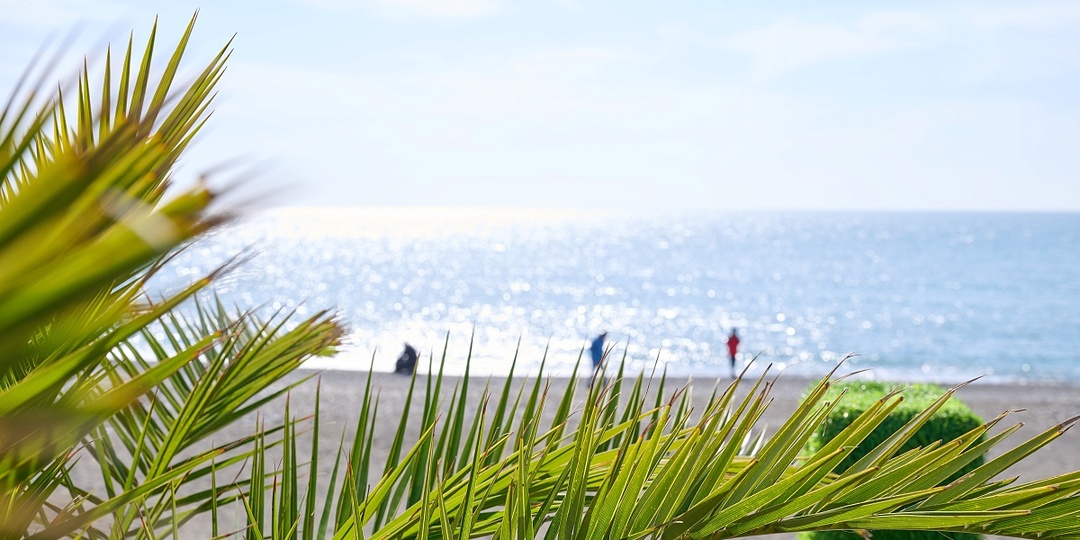 Больше 300 тысяч человек посещают зимние пляжи Сочи ежемесячно