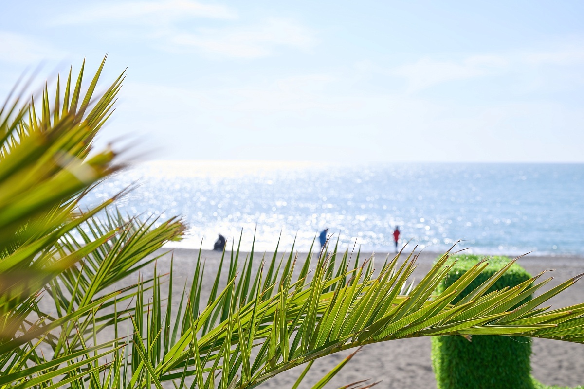    Фото: пресс-служба администрации города Сочи