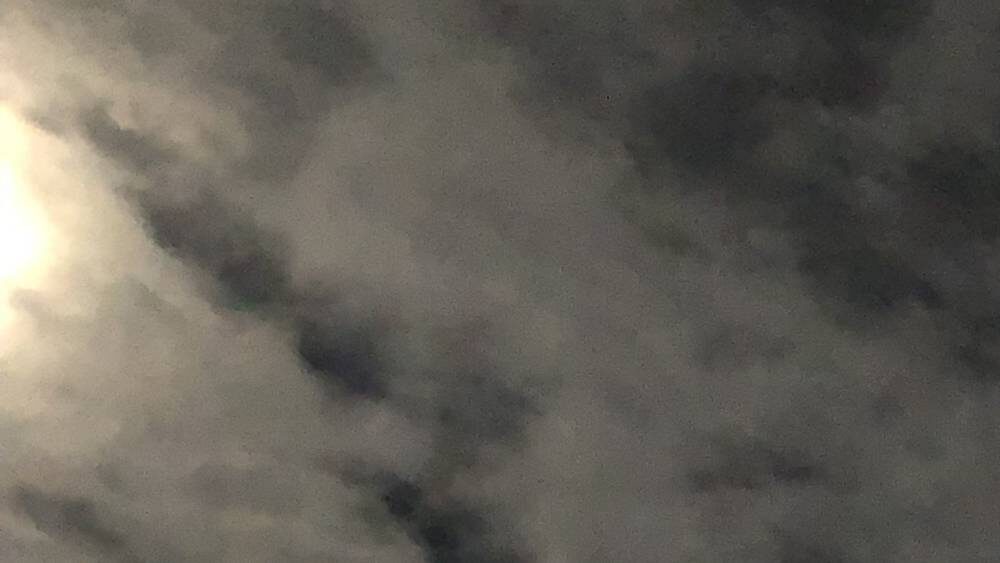    Фото: «Брянские новости»