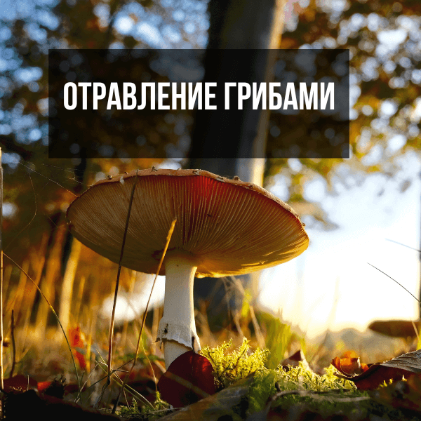 Фотография из интернета