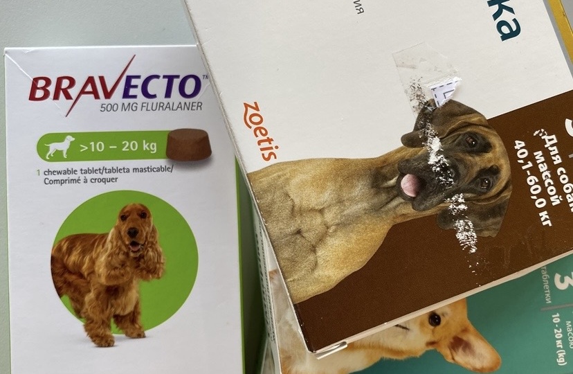 Клещи уже проснулись: как я защищаю собак каждый год и какие препараты действительно работают