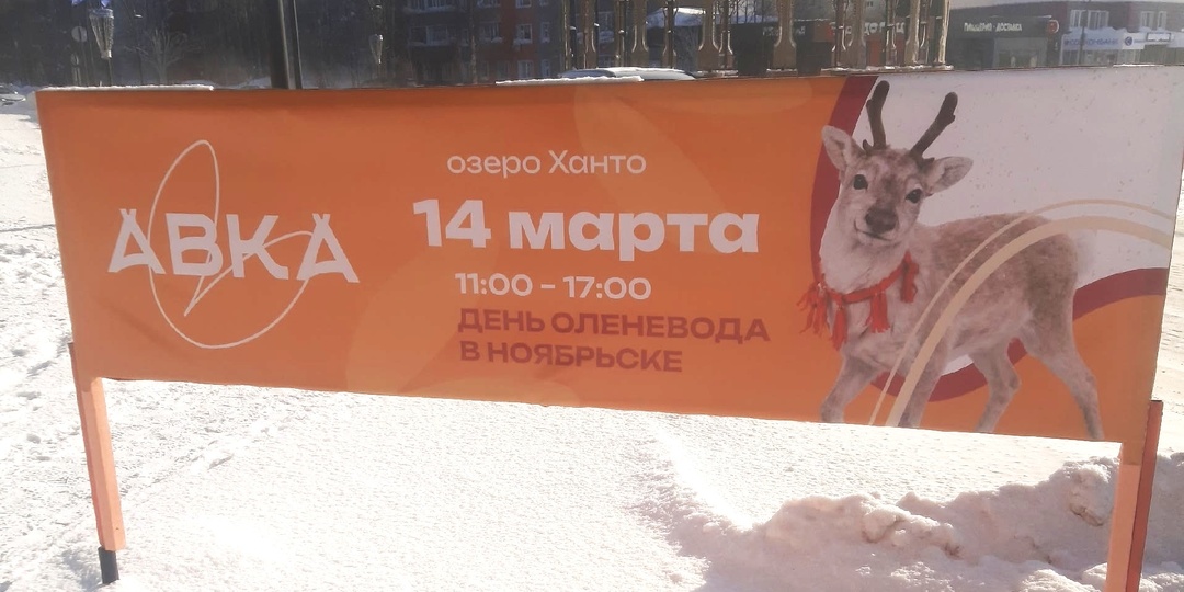 Праздник "Авка" - День оленевода в Ноябрьске