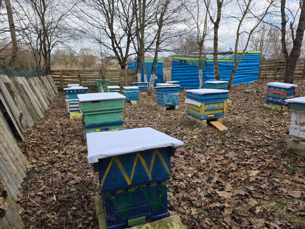 Пасека 2026, март.