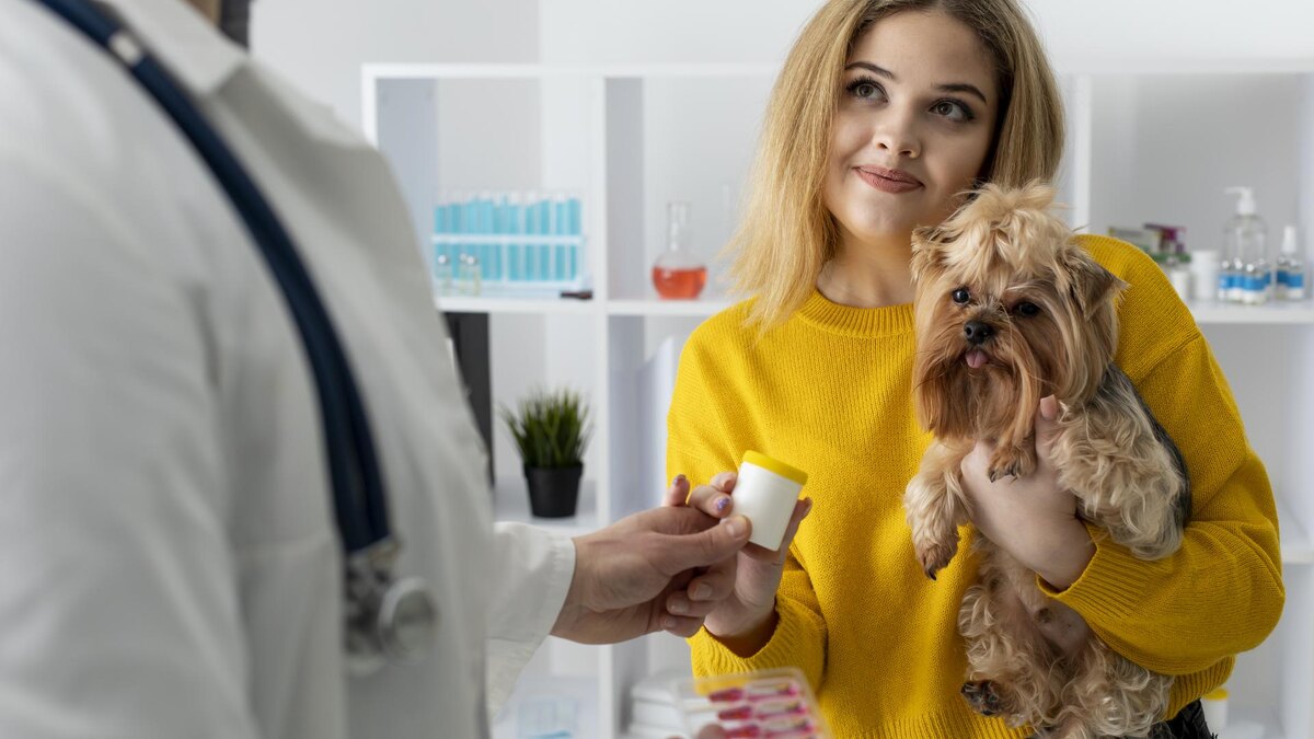    Фото: freepik.com