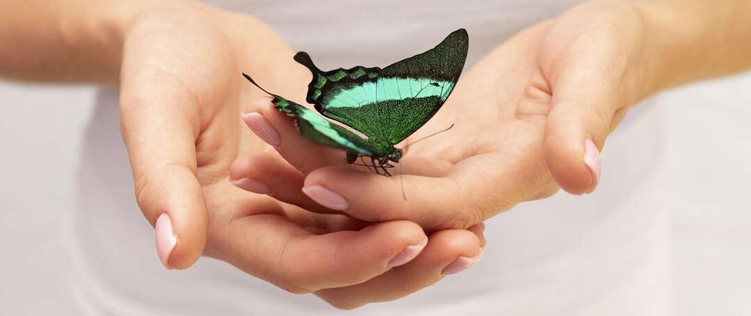 Врачи дали научное объяснение «бабочкам в животе»