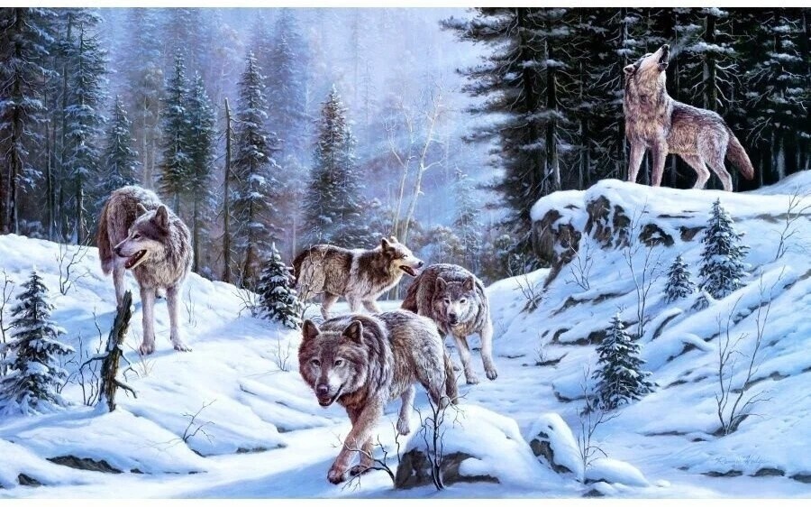 Фото из Яндекса