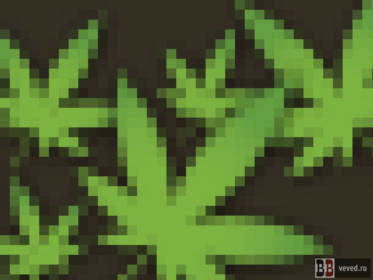     Иллюстрация: Андрей Гоголев / Вечерние ведомости