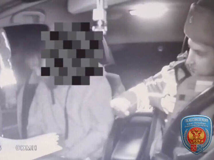     Фото: Скриншот видео от пресс-службы Госавтоинспекции Петербурга и Ленобласти.