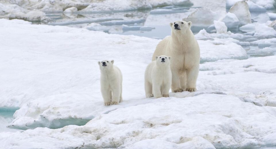    GTW/imageBROKER.com / www.globallookpress.com