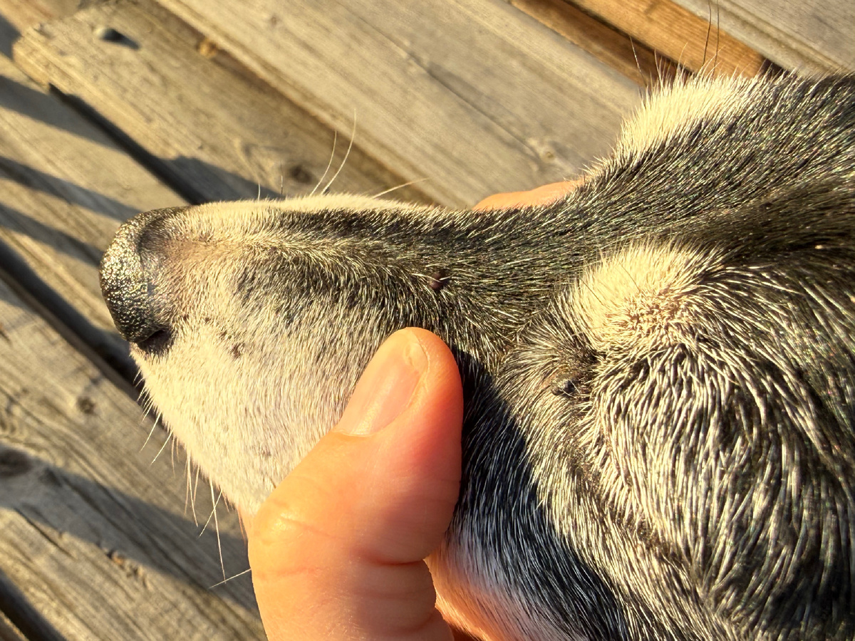 Первые уже вылезли🥶