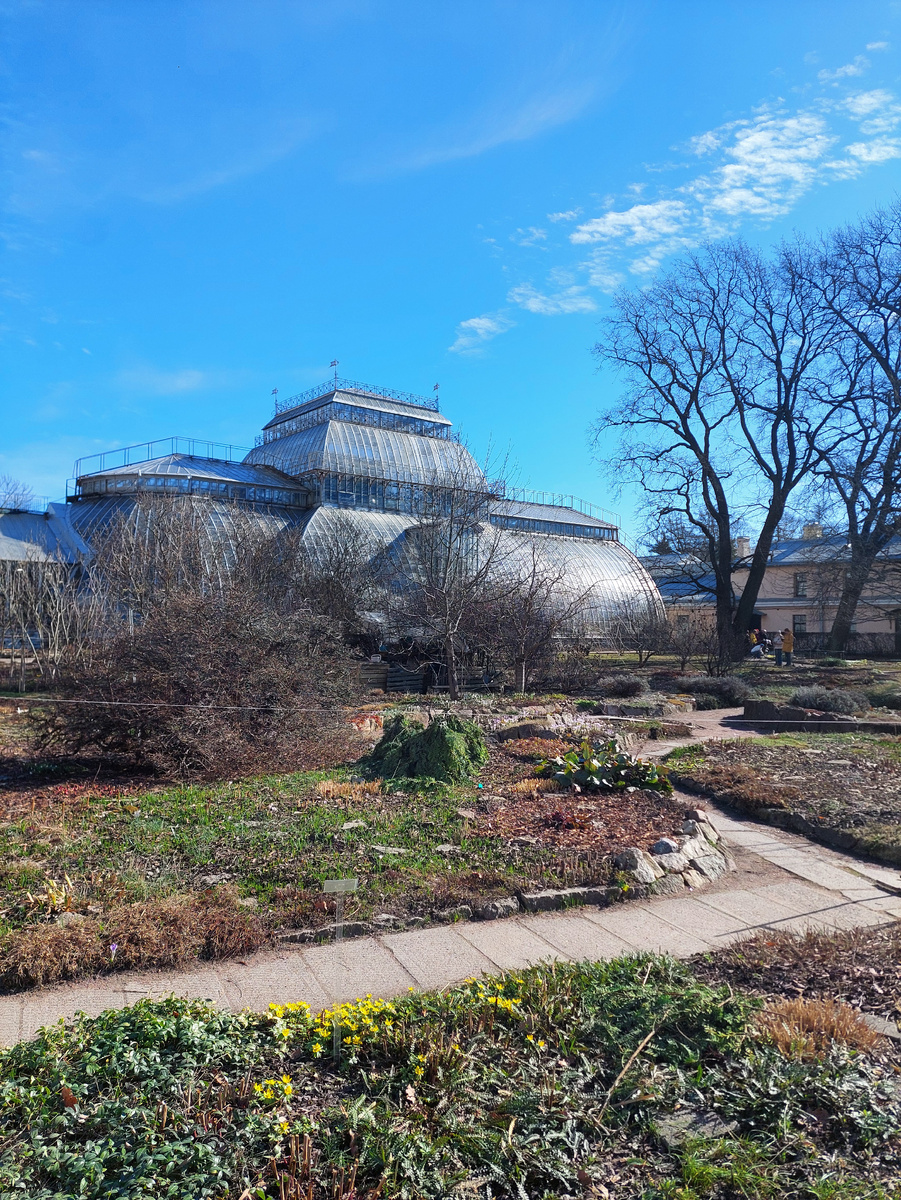 Субтропическая оранжерея Ботанического сада Петра Великого. Фото автора. 