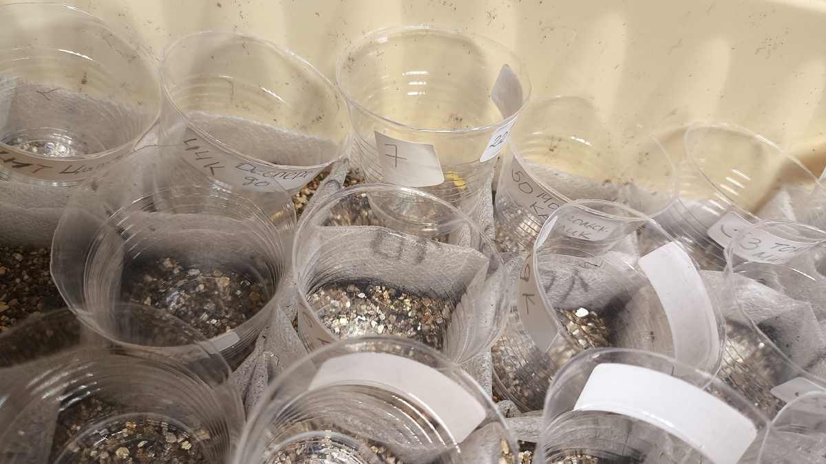 Это чтоб ничего не перепутать)