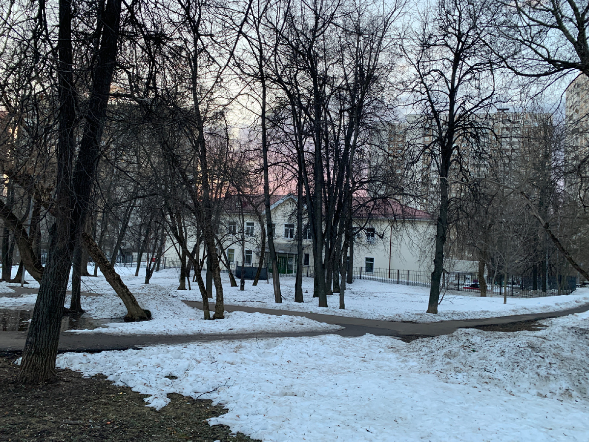 Здесь  еще   зимний пейзаж .   Фото автора статьи.