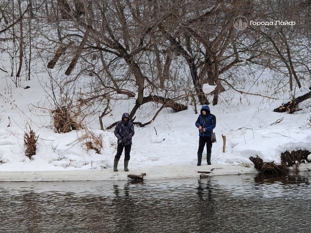     Фото: Города Лайф