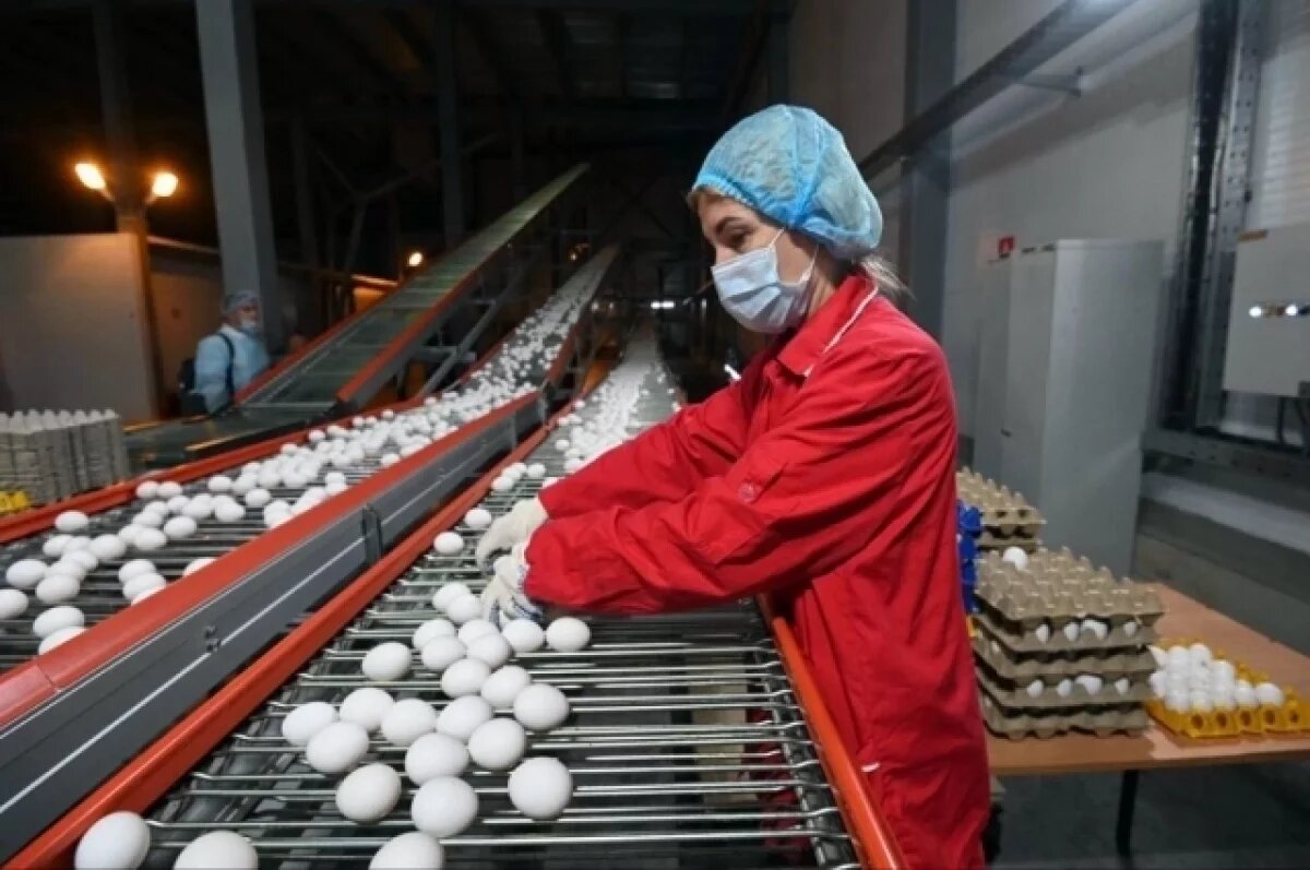    Яйца подорожали почти на 18 процентов в Калининградской области