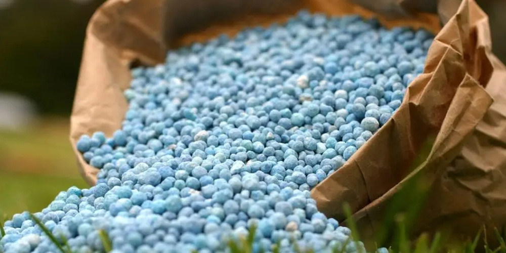 5 удобрений, которые нужно использовать весной