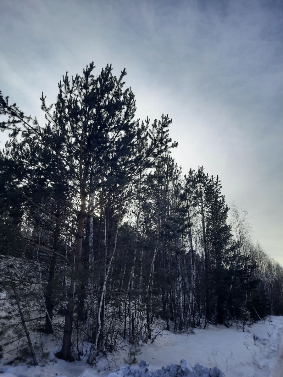 Фото автора.