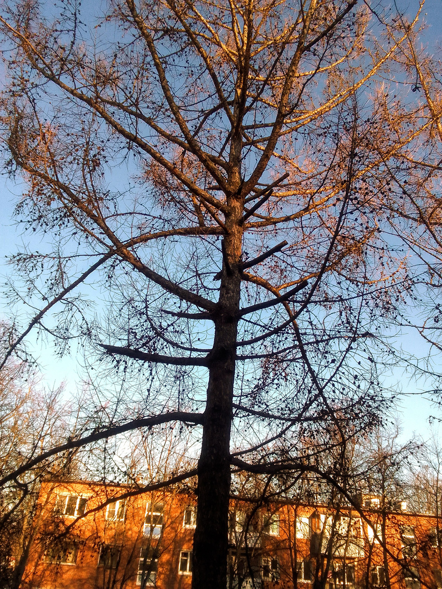 Видите как солнечно.