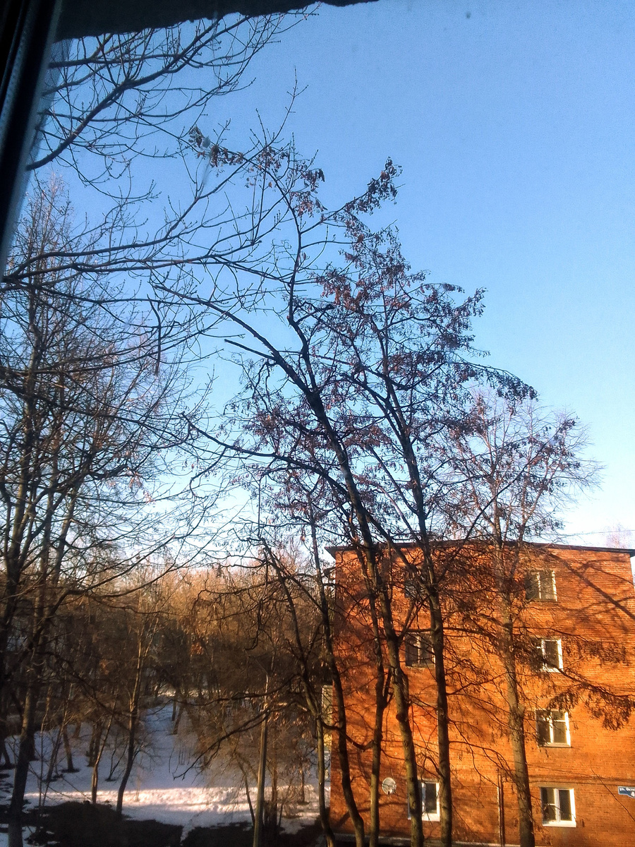 Фото автора.