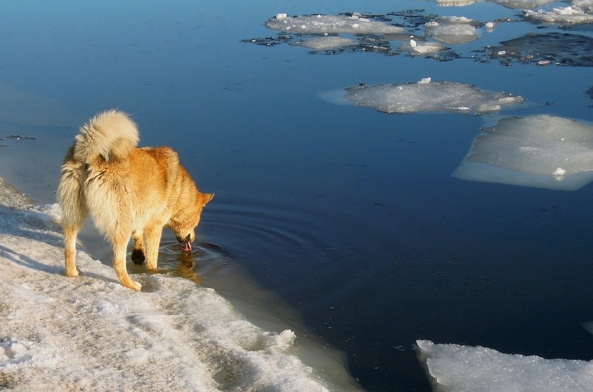     Фото: pxhere.com