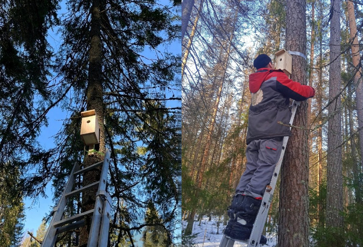 фото: vk.ru/kb_spb