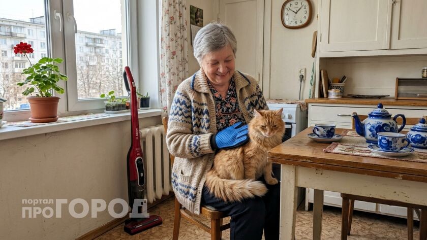    Фото ИИ Про Город