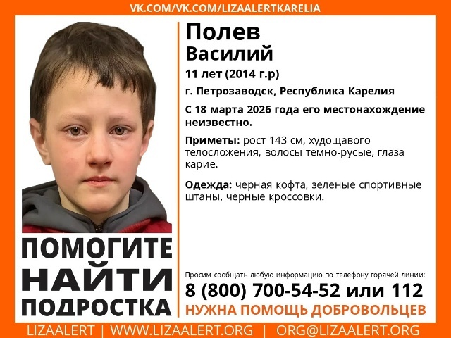Волонтеры подключились к поиску пропавшего мальчика в Петрозаводске