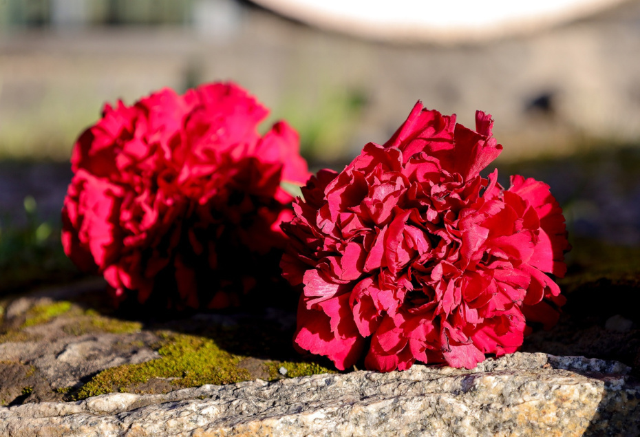    Elena Mayorova/Global Look Press