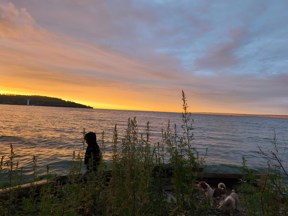 Фото 📷 автора