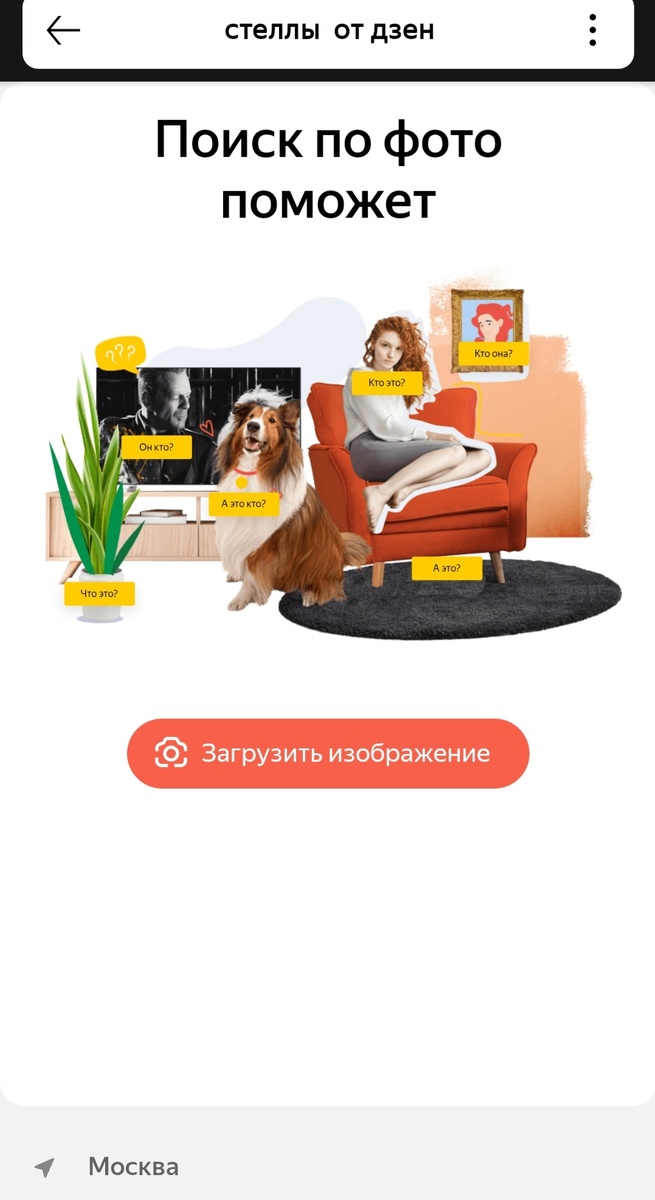 Яндекс не знает, что такое- стеллы. Скриншот автора 