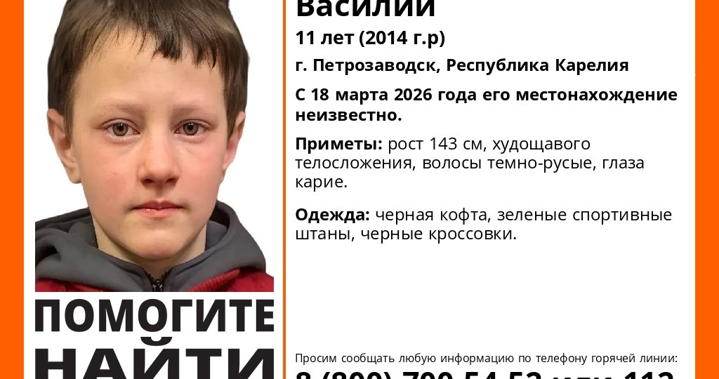 Отряд «ЛизаАлерт» подключился к поискам пропавшего в Петрозаводске мальчика