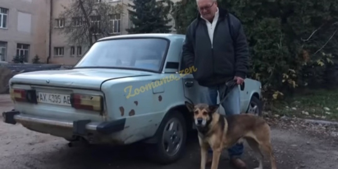 Кто "помог" беженцу с собакой покинуть этот мир?