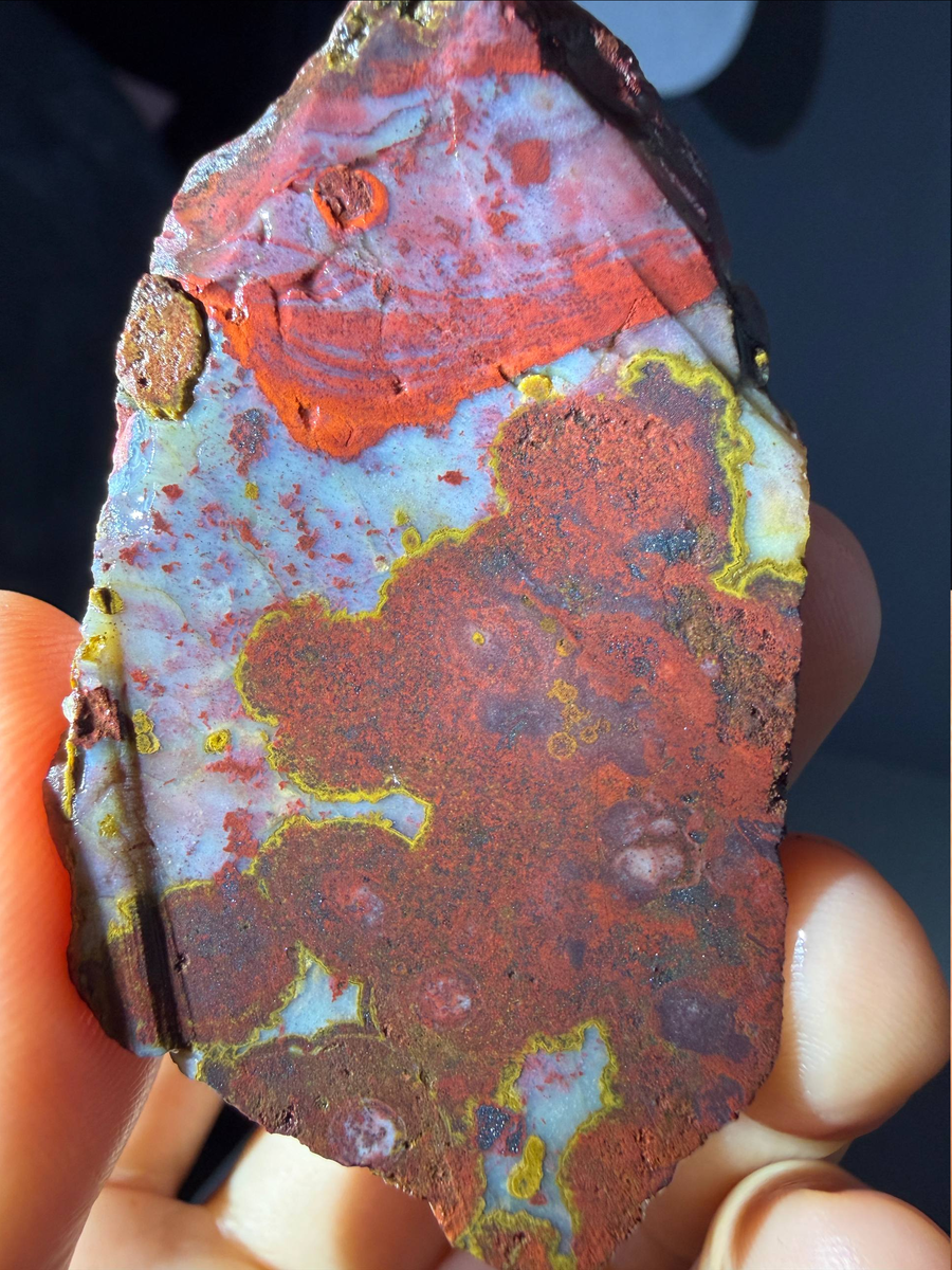 Слажная порода. Насыщеный опалом кремень с красными яшмовыми пизолитами.