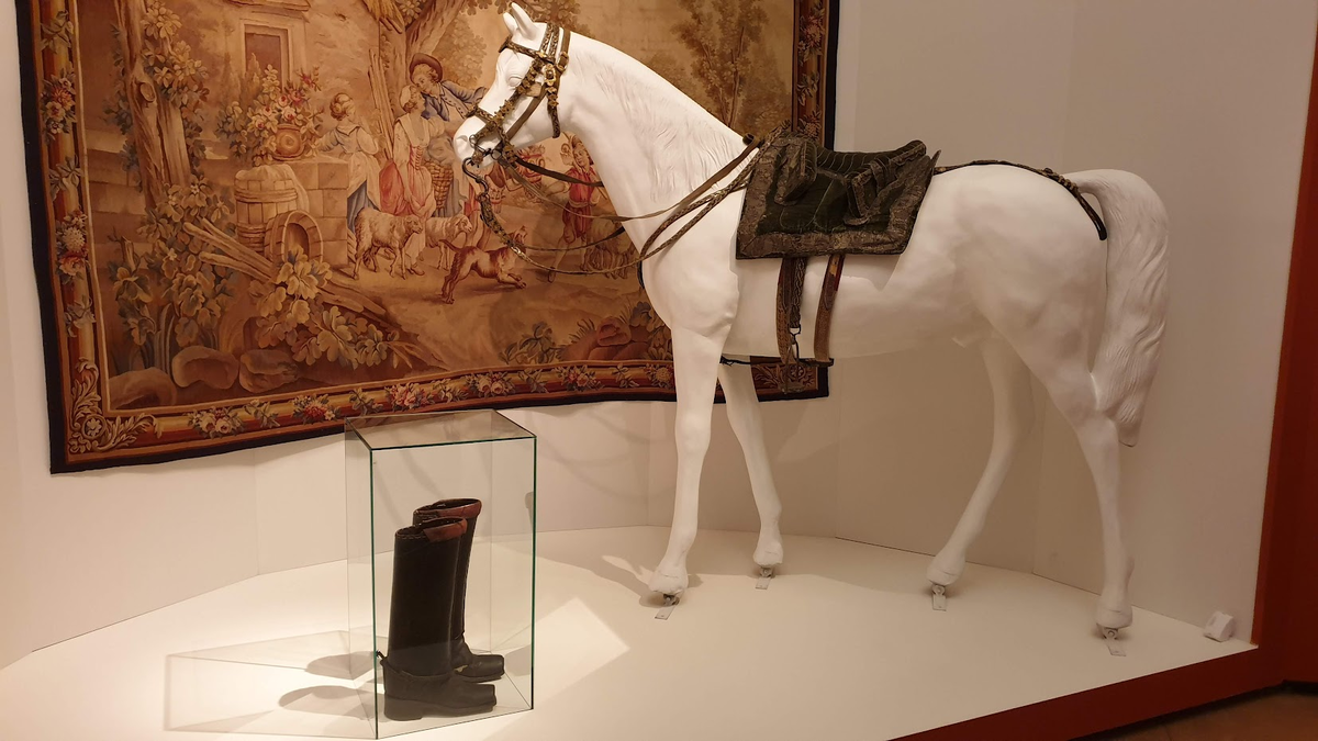 Если представлять себя лошадью, то только такой:))