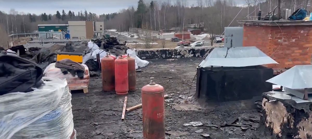    Дмитрий Романов / VK