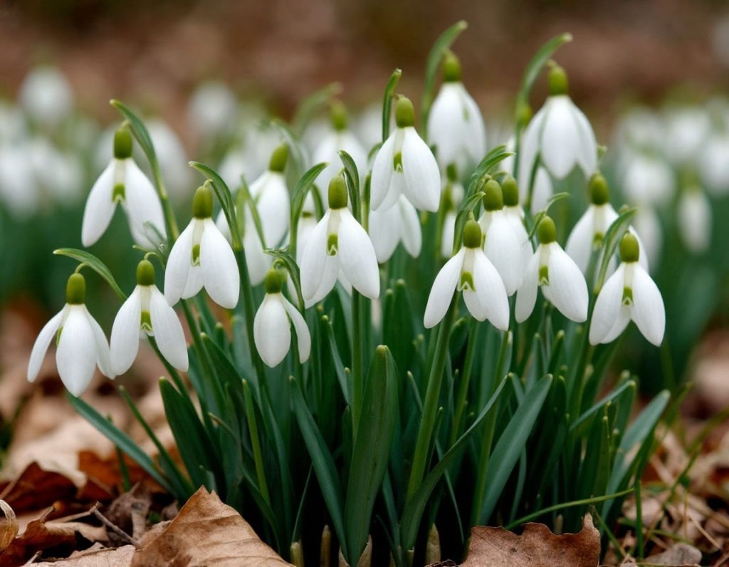    Фото: Шедеврум Редактор