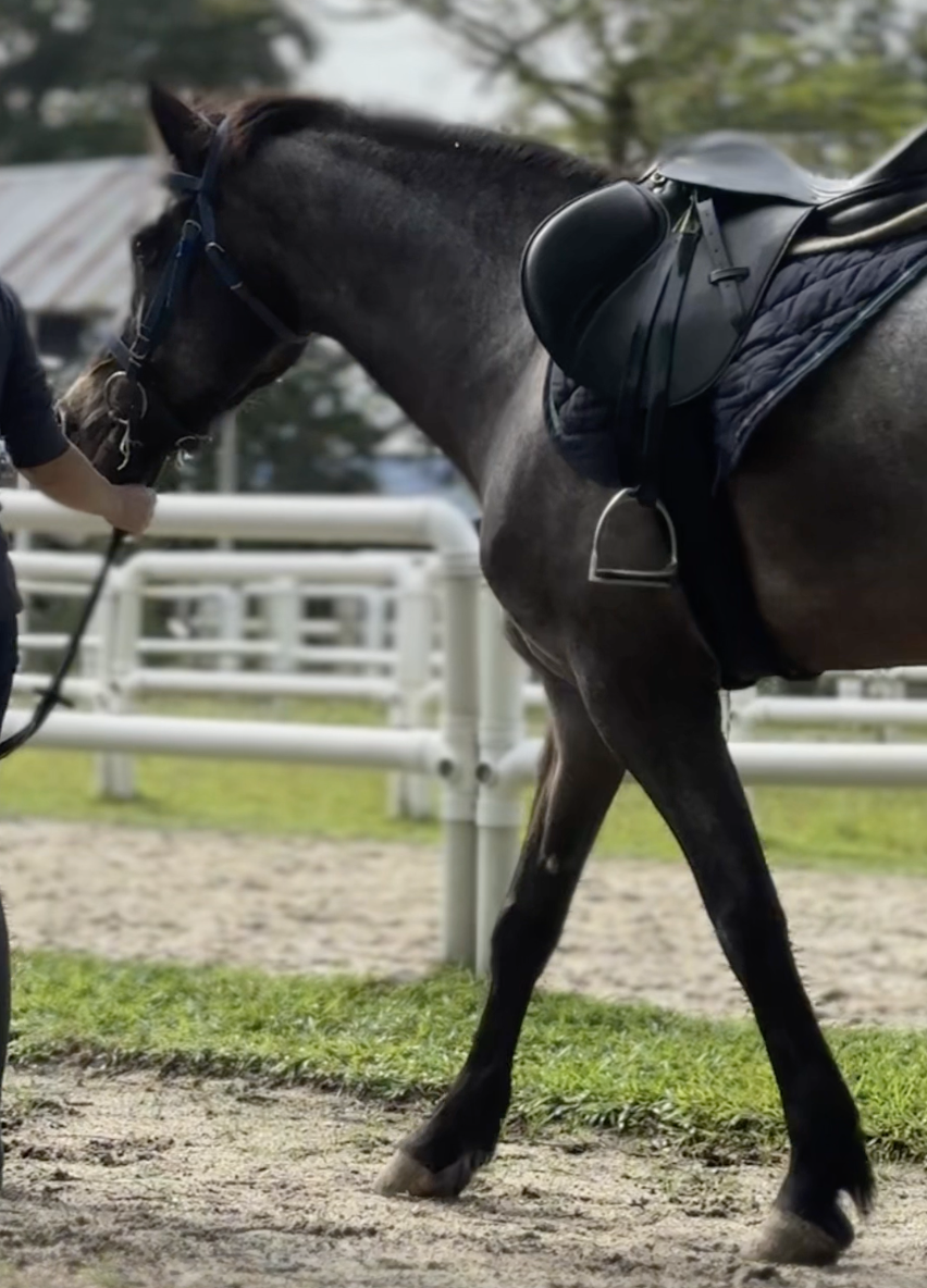 Идем на урок