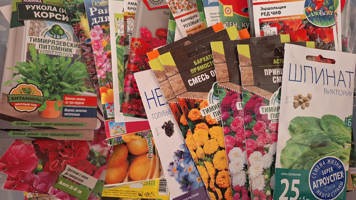 Фото автора. Моя посевная корзина, ждут своего часа. 