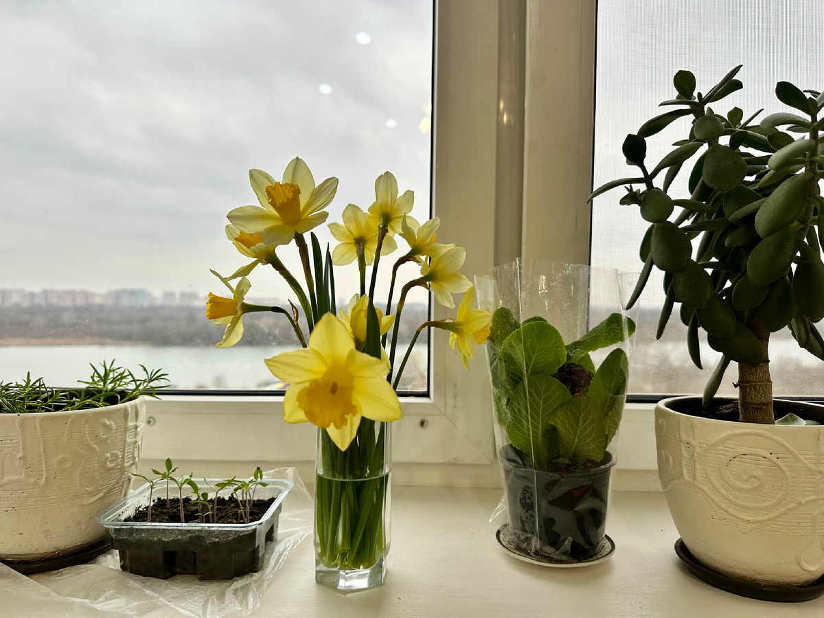 Домашняя обстановка.