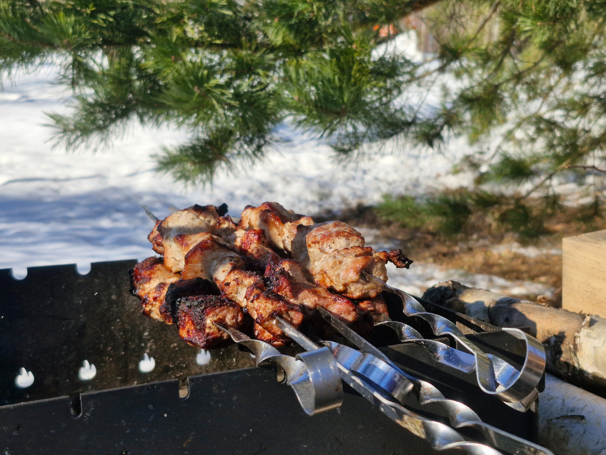 Шашлыки в Молодильных садах