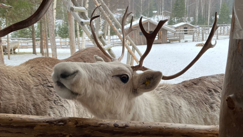    Фото редакции