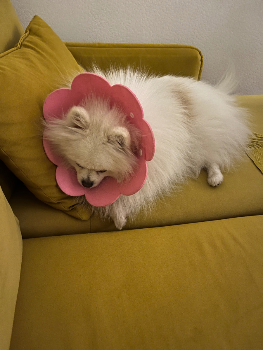 Наш цветочек