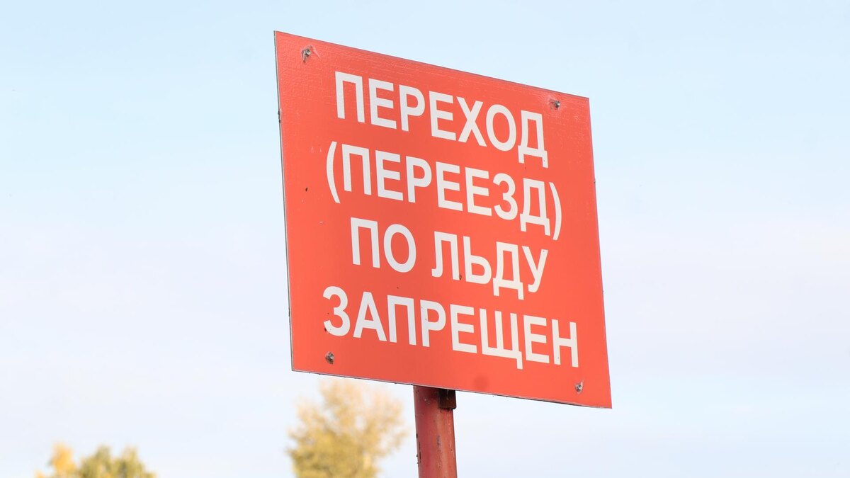    Фото: Elena Mayorova/Global Look Press