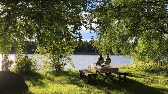 Фото: https://pxhere.com/en/photo/793480