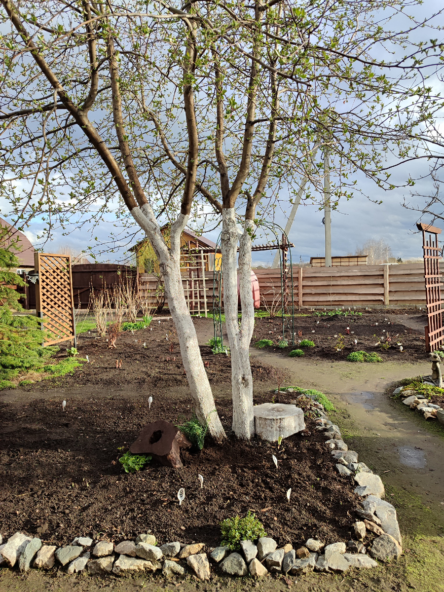 Еще чуть-чуть, ну не сделала я сегодня ни одной фотографии! День пролетел в заботах