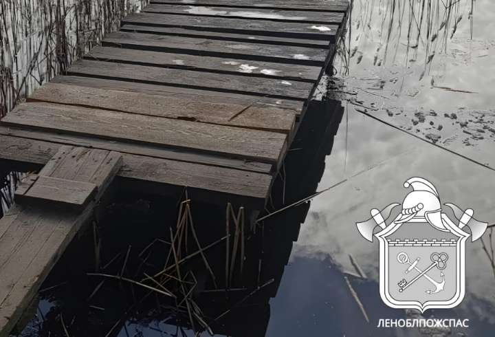 фото: ЛЕНОБЛПОЖСПАС