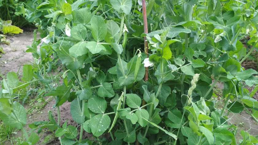    Фото: ПроГород